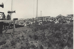 The Crowd gathers on the grass